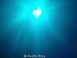 This is a sunburst shot that I have appropriately named "... by Austin Rice 